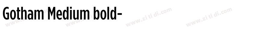 Gotham Medium bold字体转换